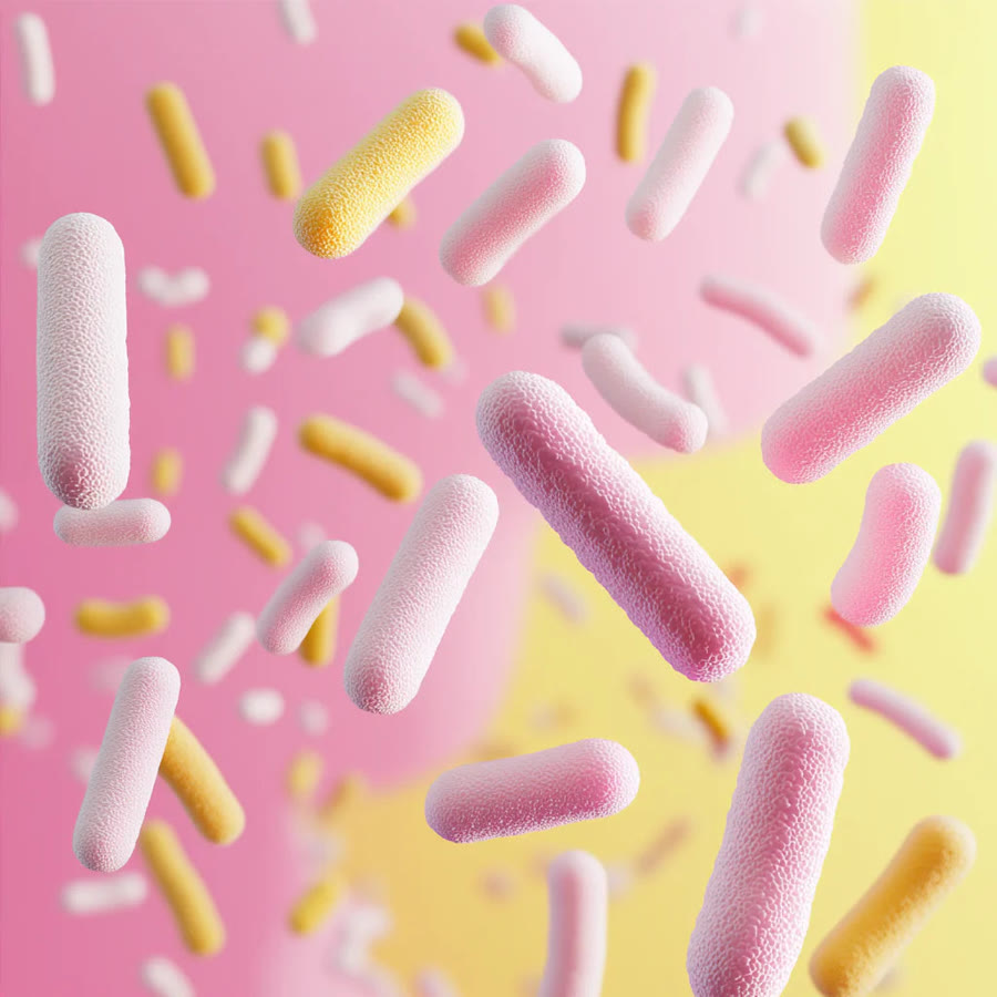 Bacillus coagulans